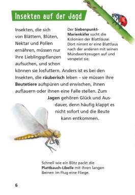 Pixi Wissen 115: Insekten