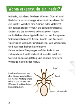 Pixi Wissen 115: Insekten