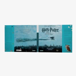 Harry Potter und der Stein der Weisen (farbig illustrierte Schmuckausgabe) (Harry Potter 1)